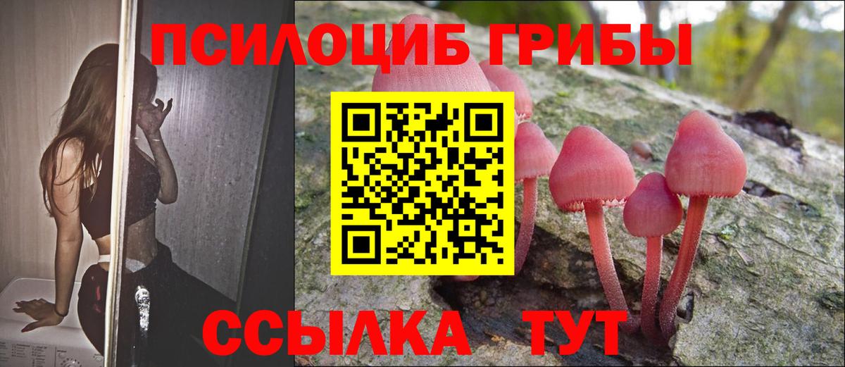Галлюциногенные грибы Cubensis  Вход с VPN  Майский 