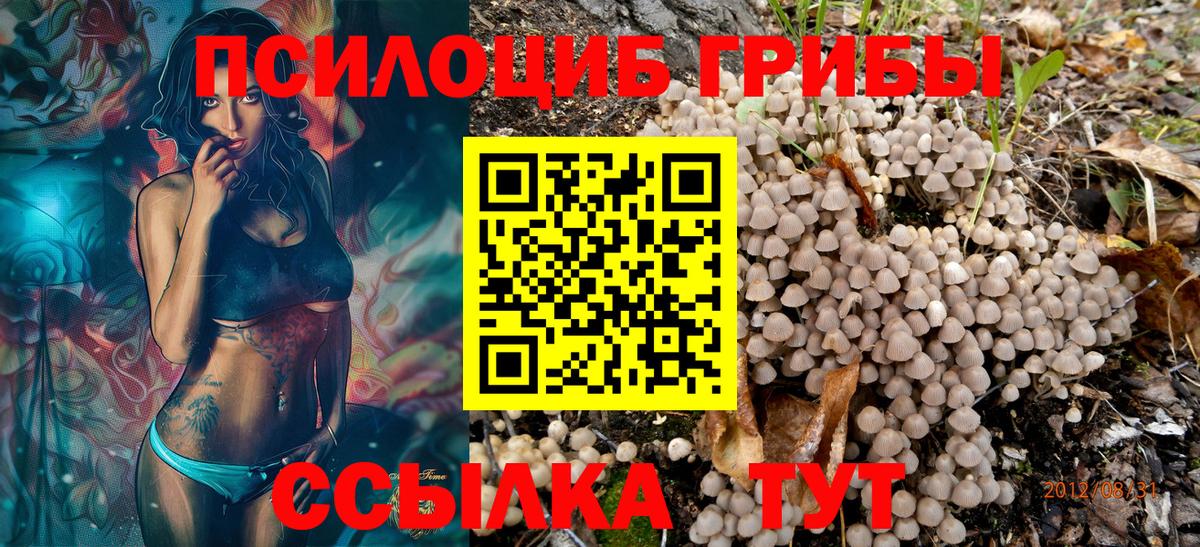 Галлюциногенные грибы Magic Shrooms Майский